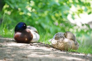 SQLの知識を活かしてデータベースを効果的に管理する方法は？