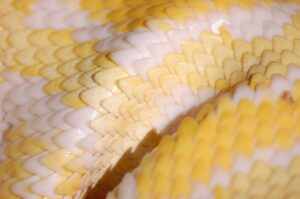 30代未経験でもPythonを学ぶことでできるか？