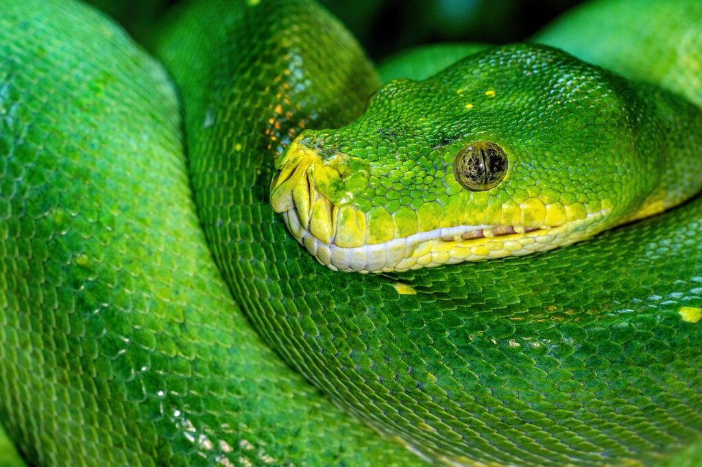 30代未経験者がPythonを学ぶための職業訓練での勉強法は？
