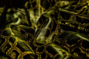 38歳未経験からPythonを学ぶ職業訓練の勉強法は？
