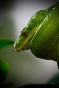 38歳未経験から始めるPython独学の勉強法は？