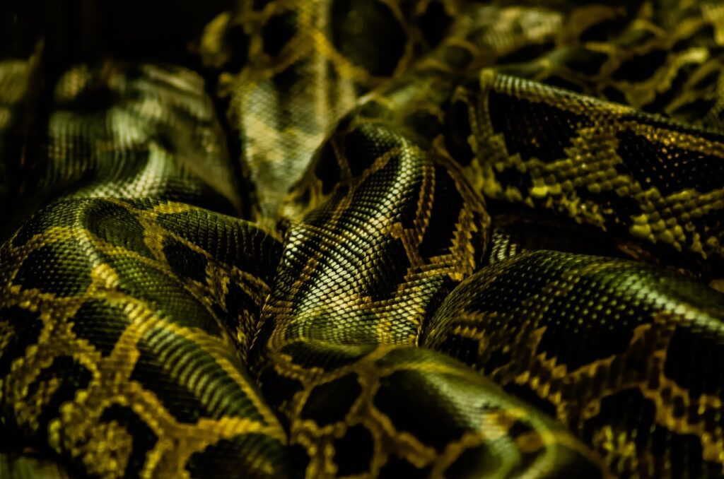 38歳未経験者がPythonプログラミングスクールで学ぶための勉強法は？